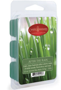 After the Rain Classic Wax Melts